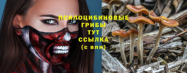 mdma Зеленодольск