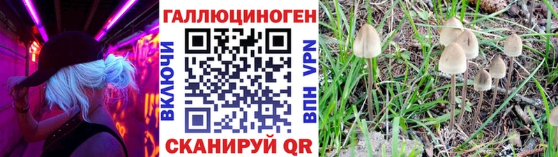 Галлюциногенные грибы мухоморы  купить  цена  дарк нет состав  Снежинск 